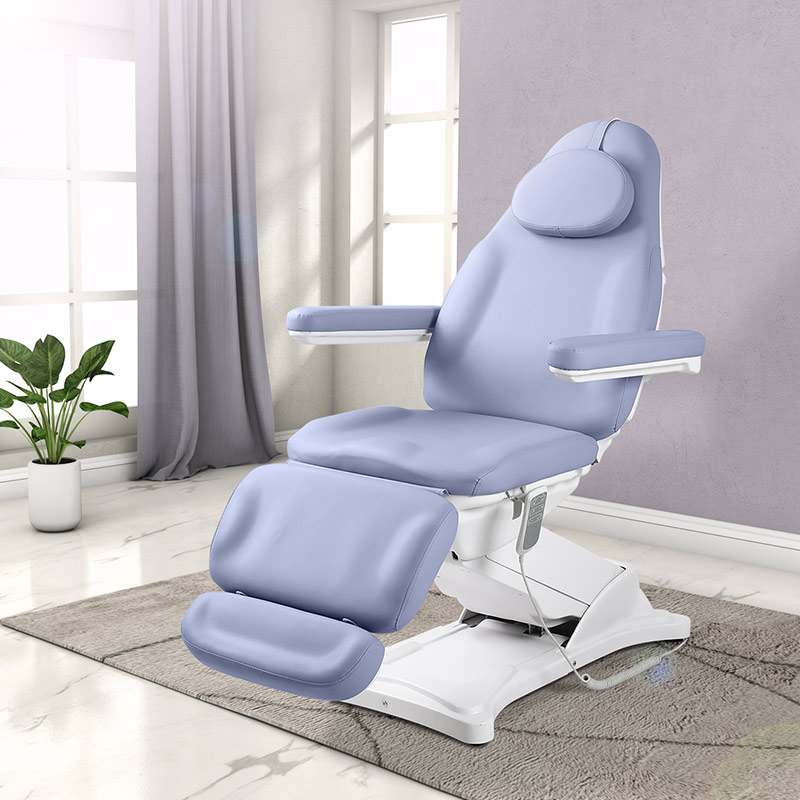 DP-8194 紫色電動調節美容床